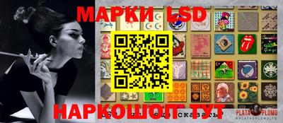 скорость Кандалакша
