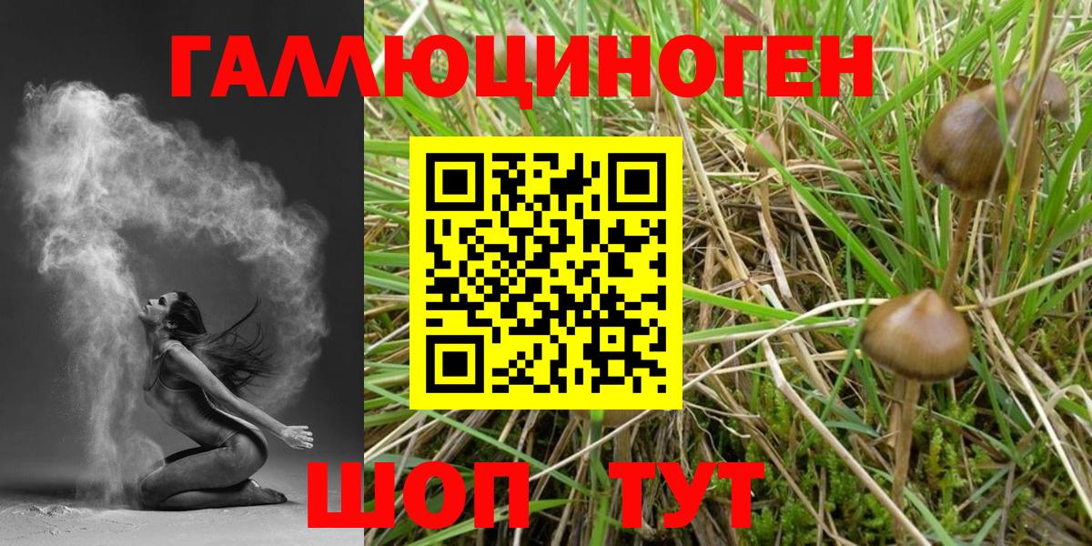 Галлюциногенные грибы мухоморы Изобильный